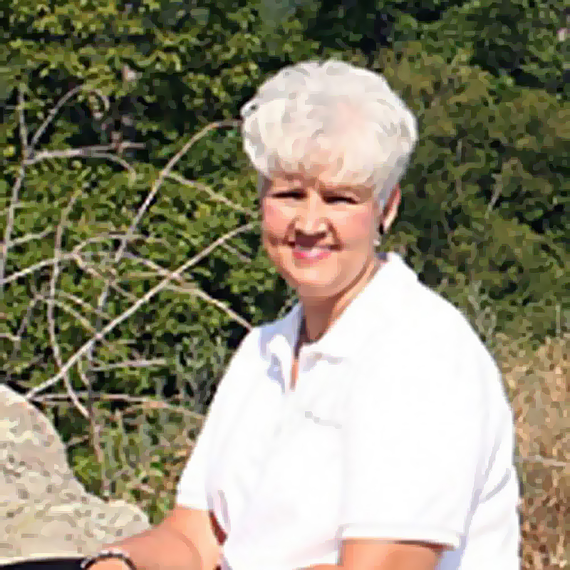 diane Harvey